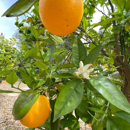 Casa Rosa וילה לאגוּ‏ש